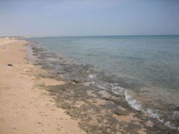 Bilder Ägypten-045